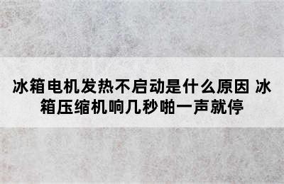 冰箱电机发热不启动是什么原因 冰箱压缩机响几秒啪一声就停